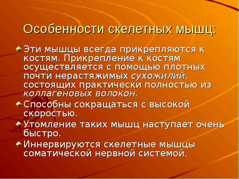 Утомление скелетной мышцы. Особенности скелетных мышц. Характеристика скелетных мышц. Особенности прикрепления скелетных мышц. Особенности скелетной мускулатуры.