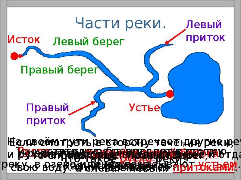 Части реки окружающий. Части реки. Части реки 2 класс. Части реки Ока. Части реки фото.