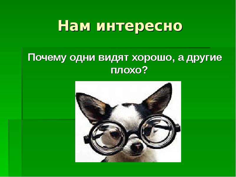 Интересно почему. Нам интересно. Презентация я глазами других людей. Не верить своим глазам рисунок.