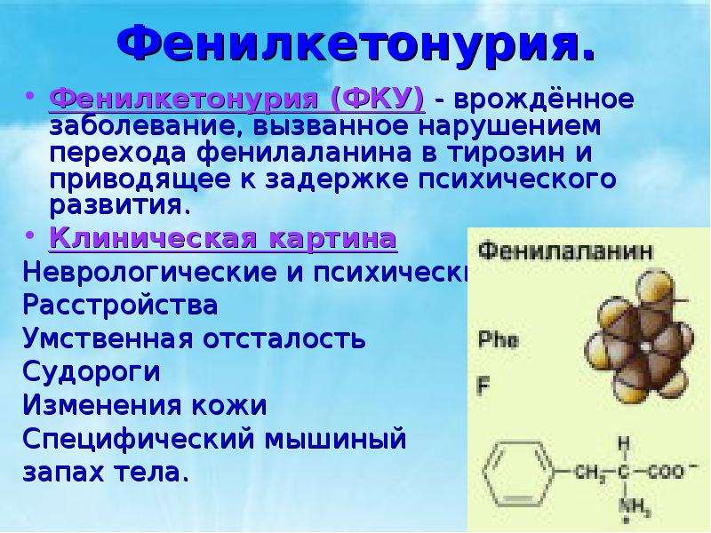 Презентация на тему генетика