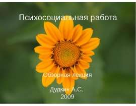 Психосоциальная работа Обзорная лекция Дудкин А.С. 2009