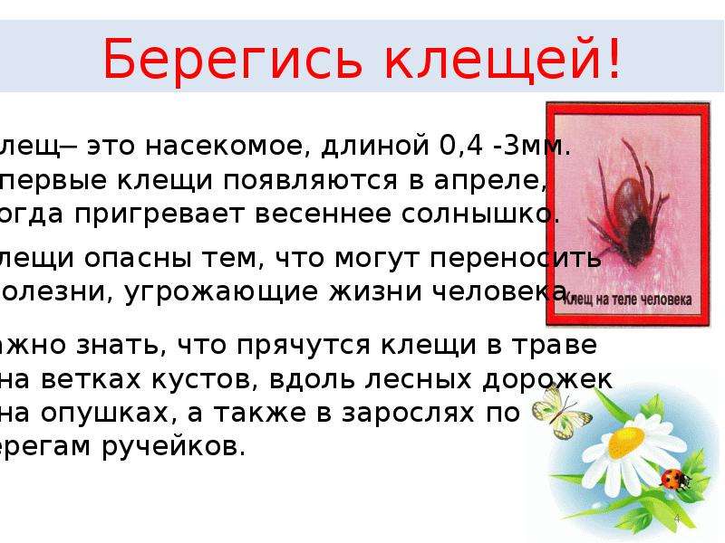 Безопасное лето презентация для 4 класса