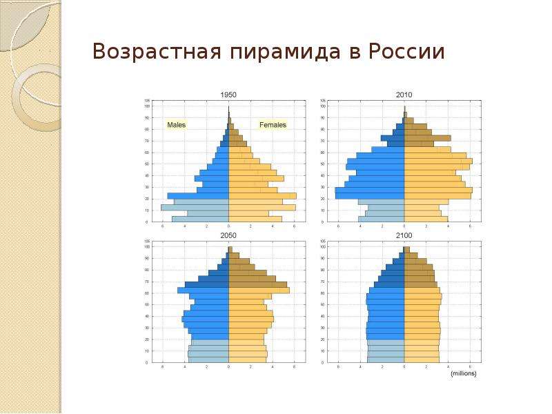 Возрастная пирамида