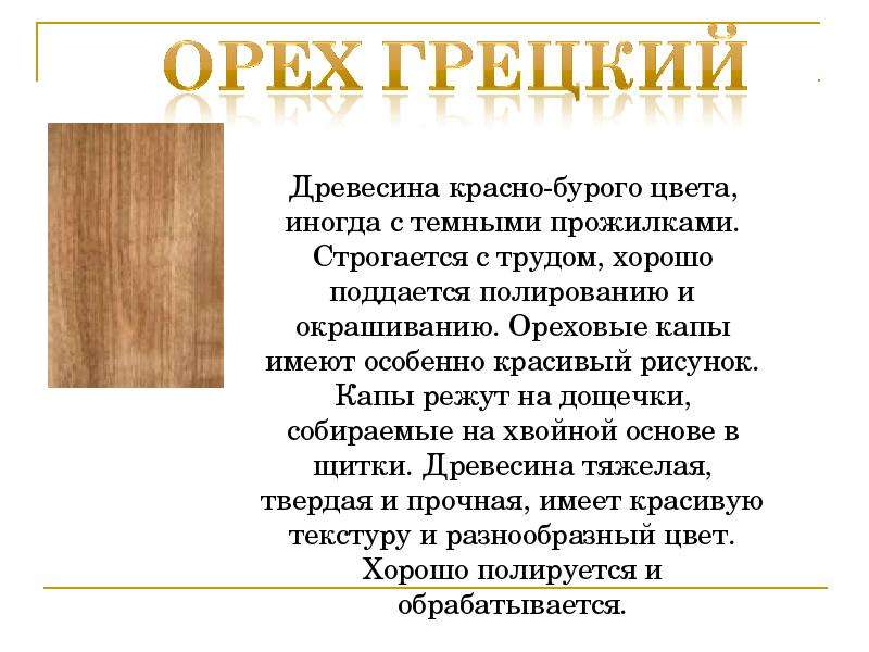 Древесина доклад. Древесина презентация. Доклад о древесине. Доклад по древесине. Свойства древесины презентация.