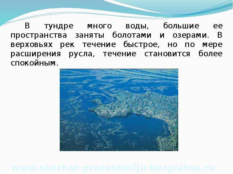 Воду тундра