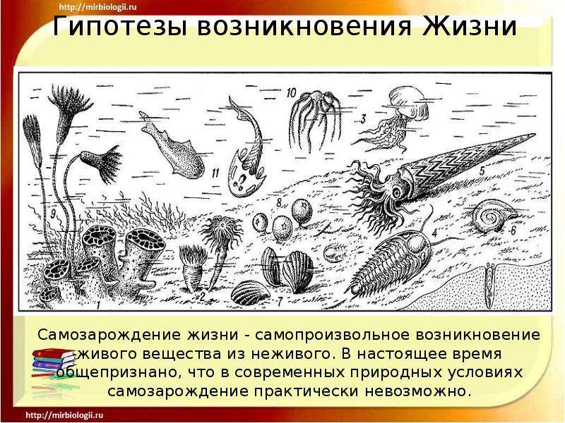 Гипотеза стационарного состояния рисунок