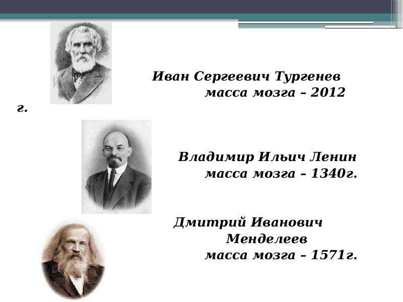 Вес мозга взрослого. Тургенев масса мозга. Масса мозга известных людей. Вес мозга Ленина. Вес мозга писателей.