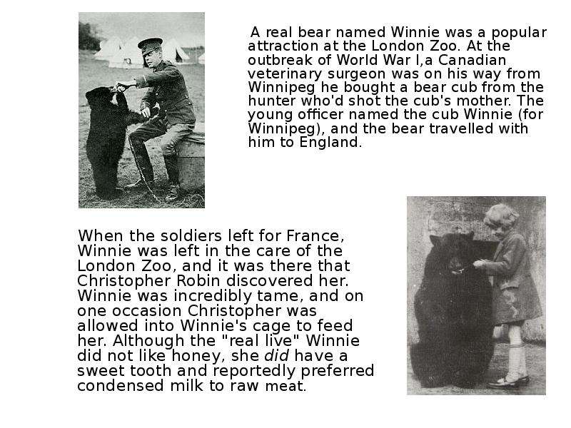 A real bear named Winnie was a popular attraction at the London Zoo. At the outbreak of World War I,