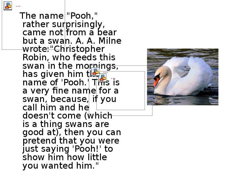 The name "Pooh," rather surprisingly, came not from a bear but a swan. A. A. Milne wrote:&