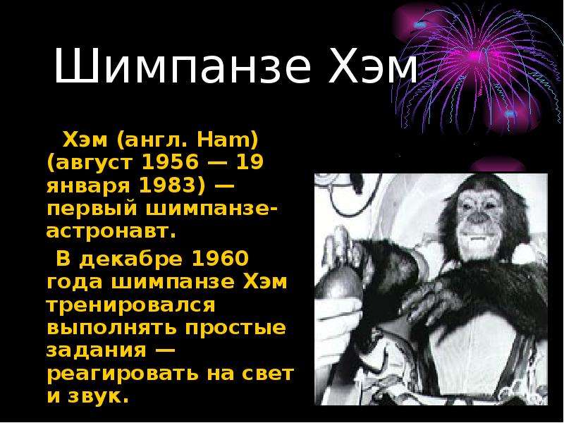 Хэм (англ. Ham) (август 1956 — 19 января 1983) — первый шимпанзе-астронавт. Хэм (англ. Ham) (август