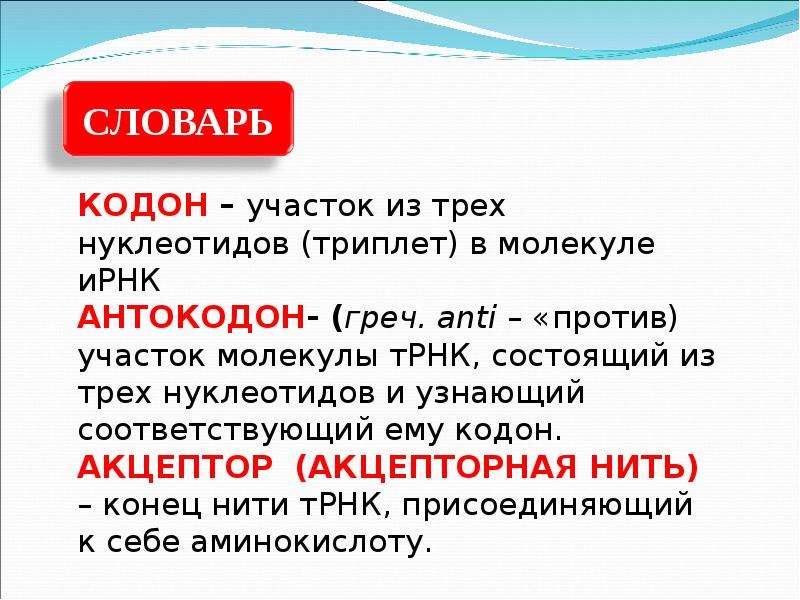 Триплет белка. Триплет кодон. Кодон это в биологии. Триплет кодон антикодон. Участок состоит из трех нуклеотидов (кодон).