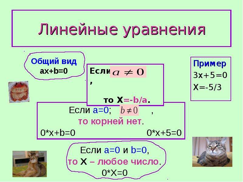10 видов уравнений. Простые линейные уравнения. Виды уравнений с примерами.