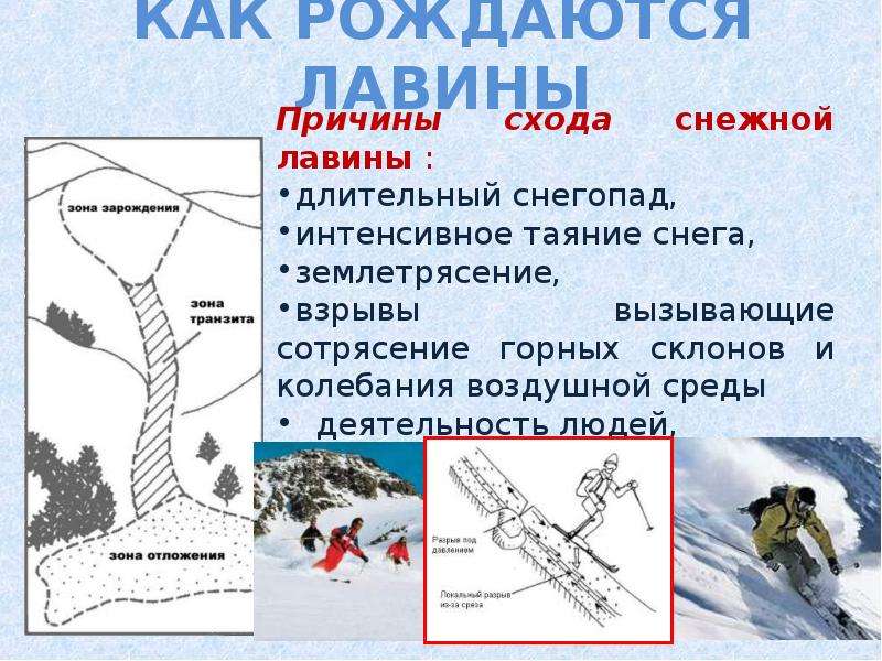 Обж 7 класс презентация