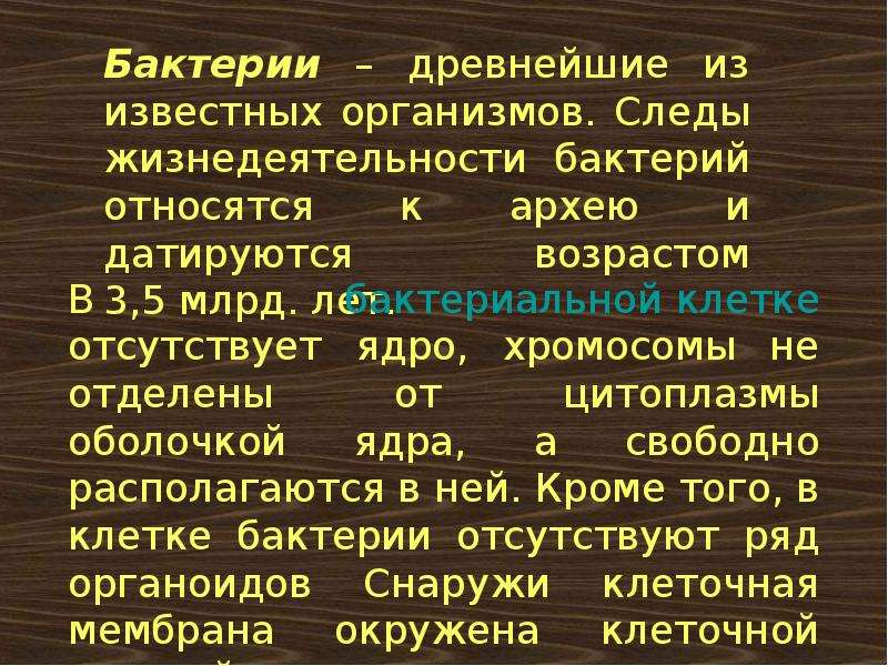 Известные организмы. 2 Известных организма. Отсутствует ядро 2. 2-3 Известных организма.