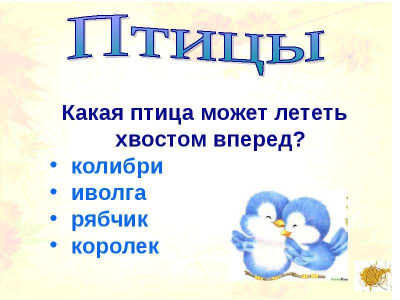 Могут ли птицы летать без хвоста. Если птица летит хвостом вперед. Стих как выучить летели гриб птички.