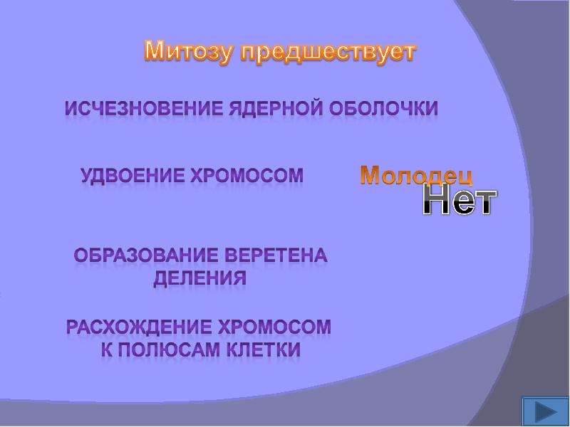 Исчезновение ядерной оболочки происходит в. Собственно митозу предшествует. Исчезновение ядерной оболочки. Исчезновение ядерной оболочки в митозе. Митозу предшествует процесс.