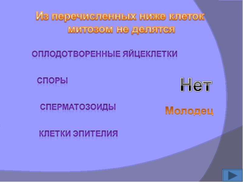 Какие из перечисленных клеток. Из перечисленных ниже клеток митозом не делятся. Клетки которые не делятся митозом. Из перечисленных ниже клеток делятся митозом. Митозом делятся клетки эпителия.