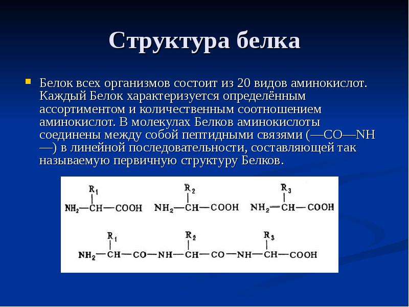 Аминокислоты это белки. Строение аминокислоты белка. Структурные белки. Строение белков из аминокислот. Белки состоят из 20 аминокислот.