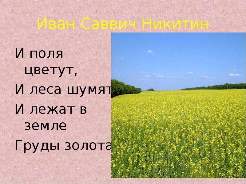 Стих поле. Иван Никитин поле. Стих поле Иван Никитин. И поля цветут и леса шумят и лежат. Поле Иван Савич Никитен.