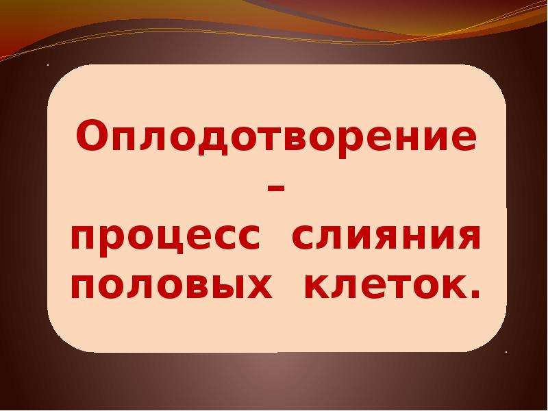 Презентация образование плодов и семян