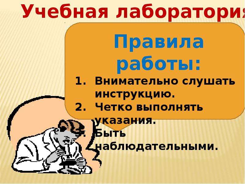 Слушает инструкцию. Слушай инструкцию.