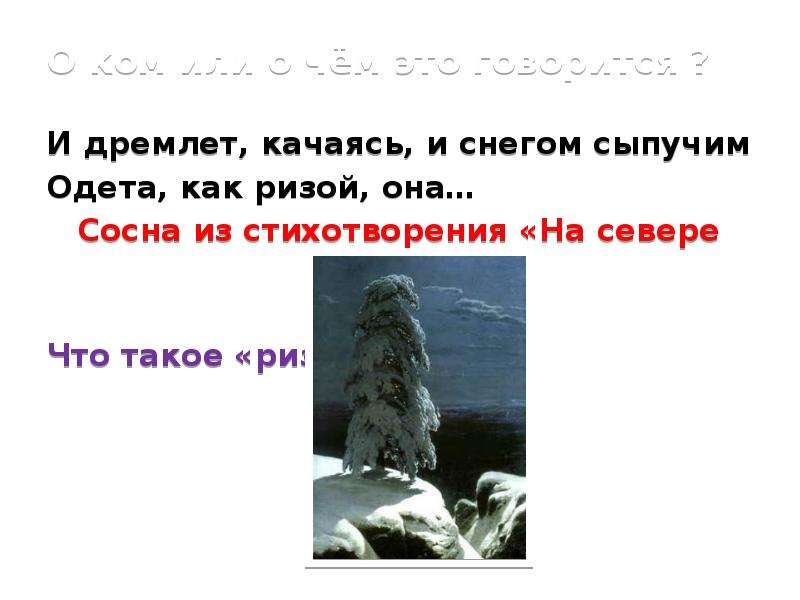 Снегом сыпучим одета как ризой она. И дремлет качаясь и снегом сыпучим одета как ризой она. Как ризой. Одета как ризой она. Что такое риза в стихотворении.