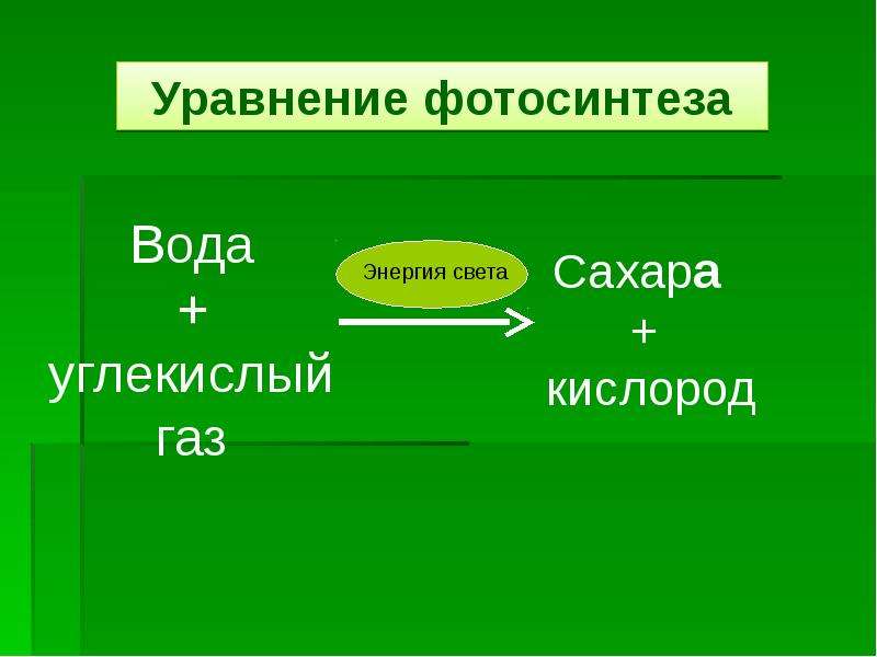 Воздушное питание растений фотосинтез 6 класс презентация