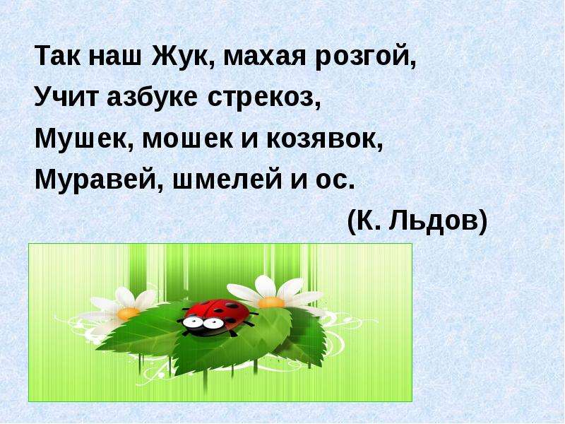 Господин учитель жук