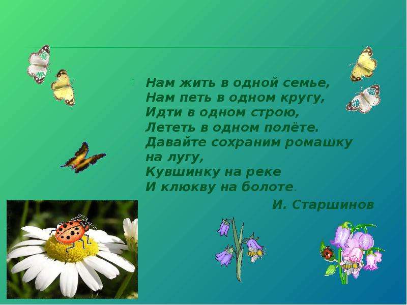 Песня давайте сохраним. Нам жить в одной семье нам петь в одном кругу. Давайте сохраним ромашку на лугу. Давайте сохраним ромашку на лугу слова. Давайте сохраним слова.