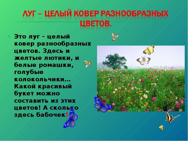 Жизнь луга презентация 4 класс. Презентация на тему луг. Доклад про луг. Луг окружающий мир. Доклад о Луге.