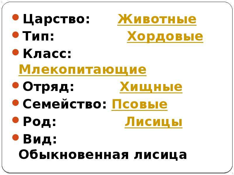 Отряд вид род. Царство Тип класс вид. Вид класс отряд семейство род вид. Хордовые животные млекопитающие царство Тип класс отряд. Царство вид класс отряд.