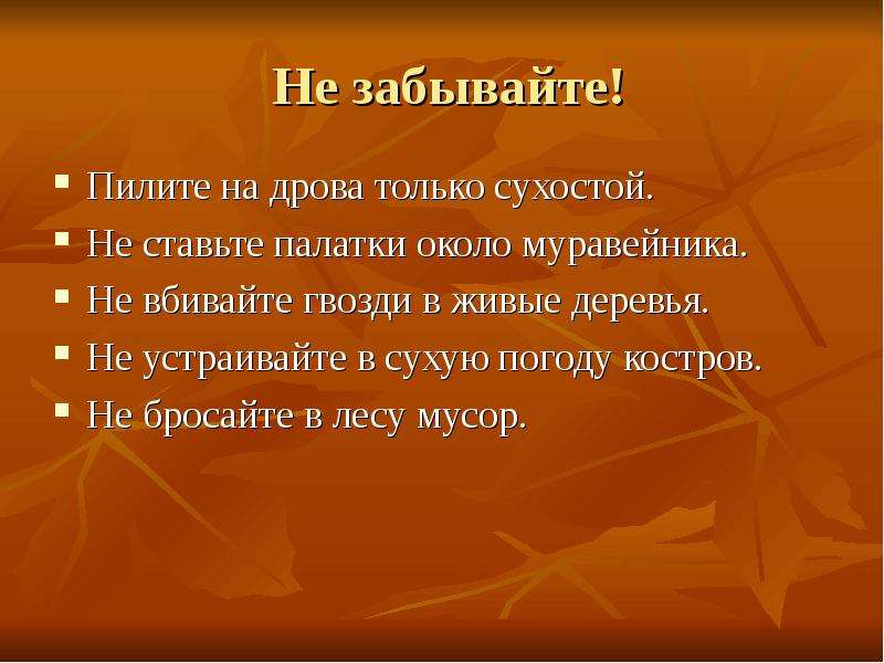 Почему нужно соблюдать тишину в лесу 1 класс презентация