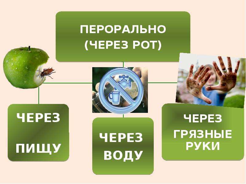 Презентации по гигиене питания