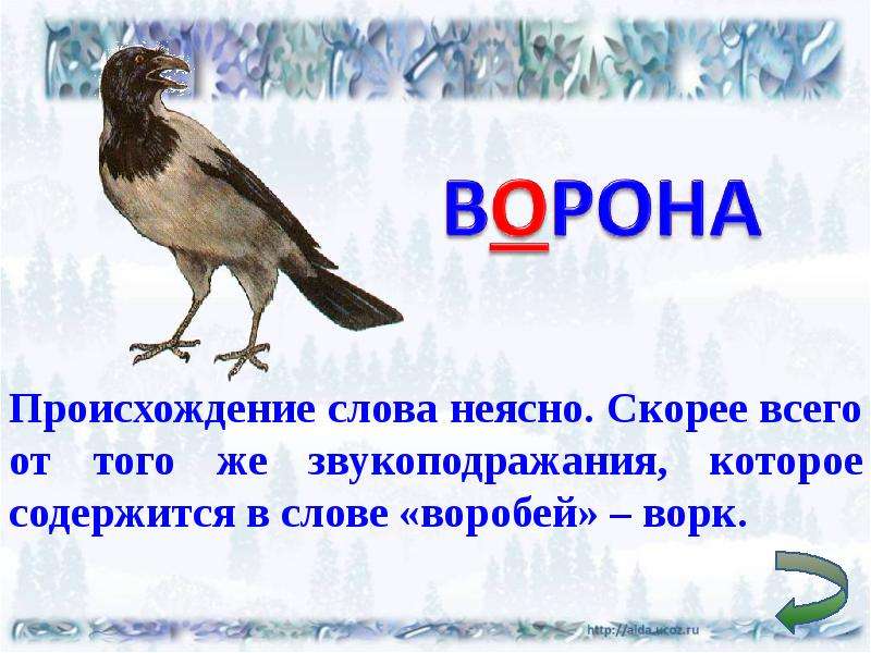 Ворон слова. Происхождение слова ворона. Ворона откуда произошло слово. Ворон происхождение слова. Ворона проверочное слово.