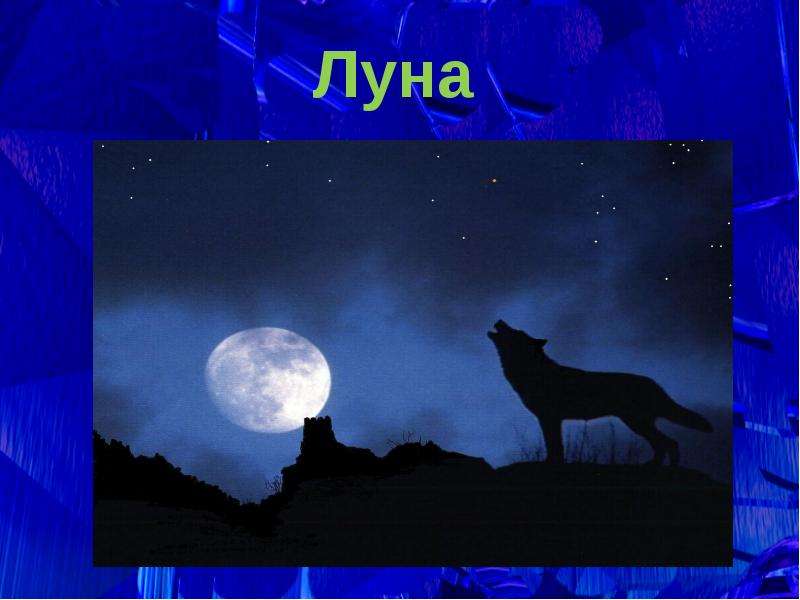 Луна 12 апреля. Волк и Луна. Тайны сна. Тайны сновидений. Тайна снов.