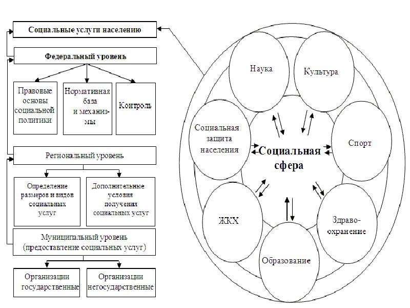 Муниципальное управление социальной сферой