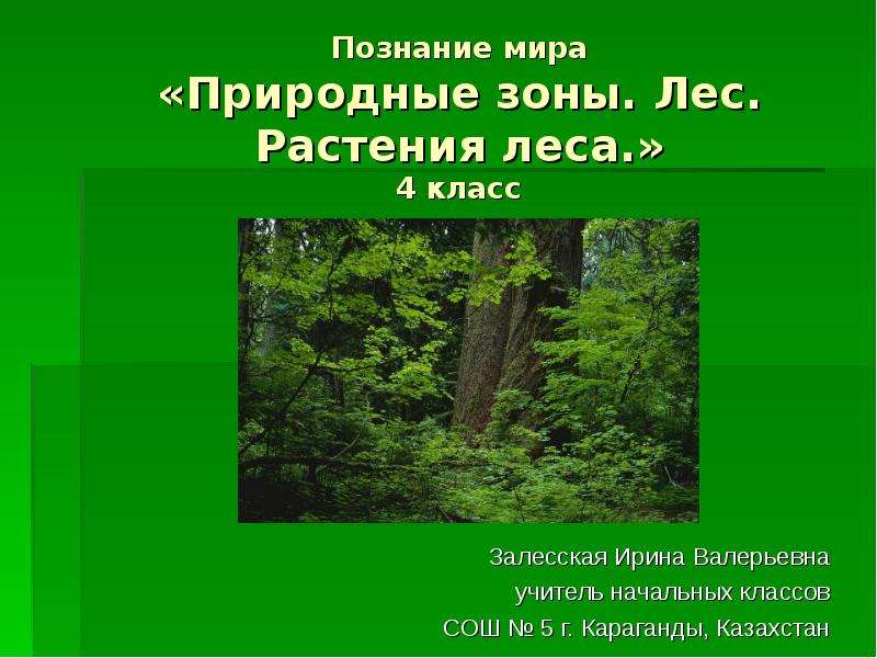 Названия зон лесов. Растения зоны лесов. Природная зона лесов растения. Растения леса 4 класс. Природная зона лесов 4 класс.