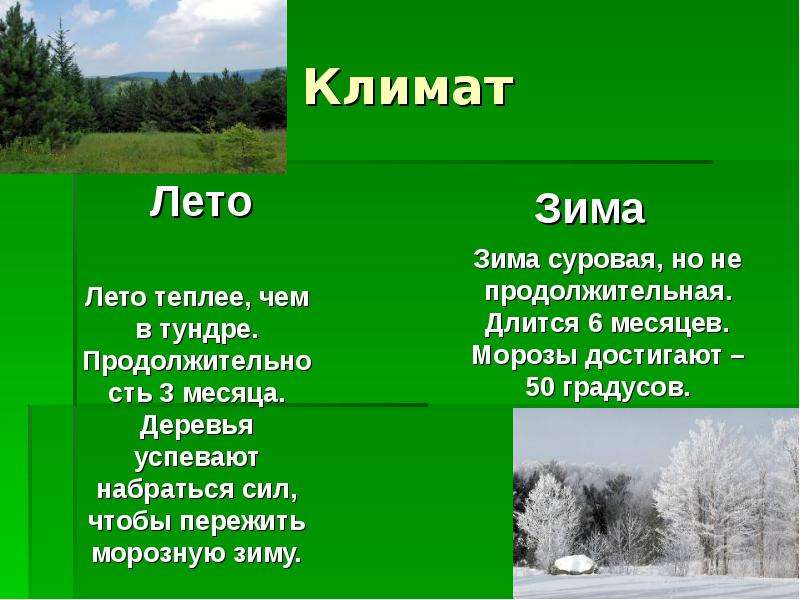 Леса россии климатические условия. Климат зоны лесов. Климат в лесах зимой и летом. Климат в широколиственных лесах летом и зимой. Климат зоны лесов 4 класс окружающий мир.