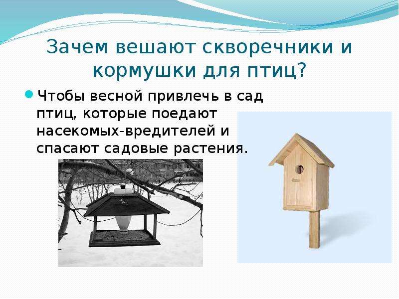 Презентация скворечник 7 класс