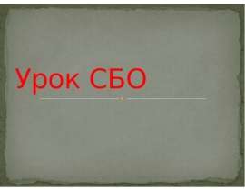 Урок СБО
