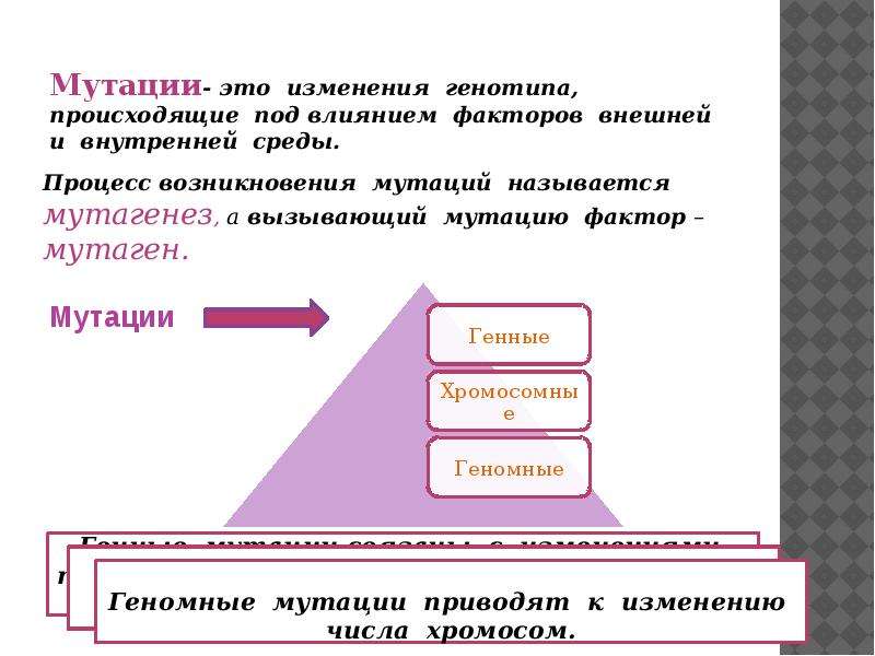 Презентация на тему мутационная изменчивость 10 класс