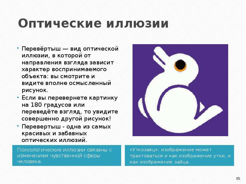 Оптическая иллюзия физика презентация