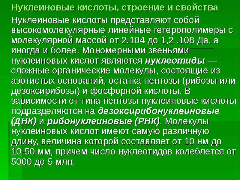 Что собой представляет кислоты. Нуклеиновые кислоты гомо или гетерополимеры. Почему нуклеиновые кислоты относятся к гетерополимерам?. Гетерополимеры.