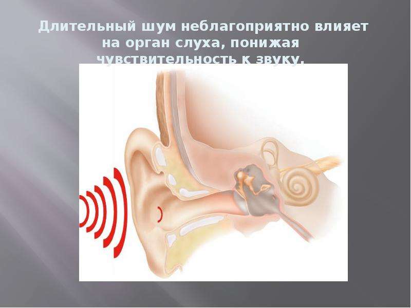 Орган слуха и шум. Влияние звука на слух. Воздействие шума на ухо. Влияние шума на слух. Влияние шума на орган слуха.