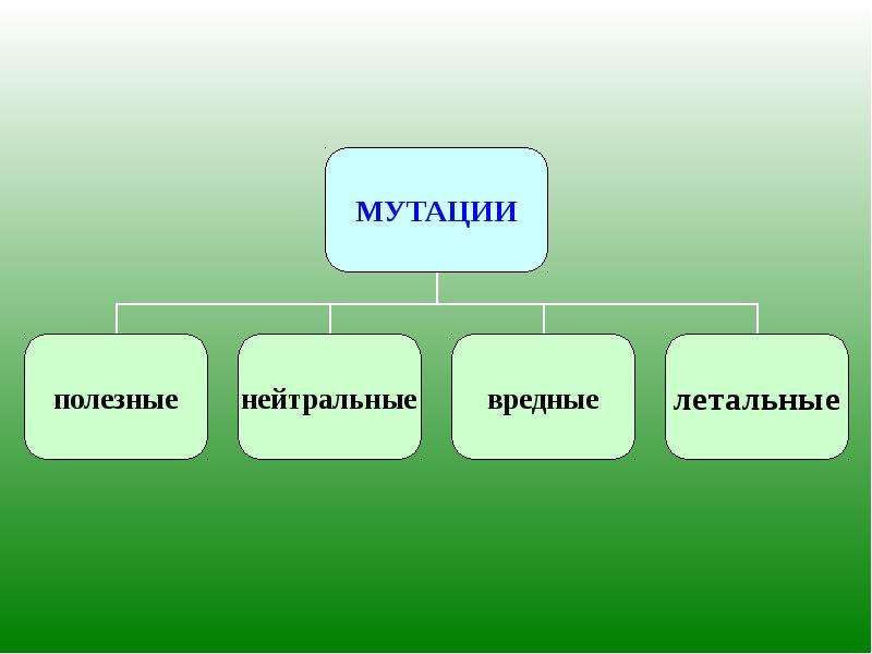 Вредные и полезные мутации проект