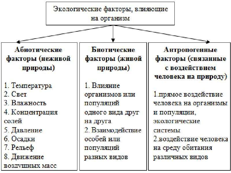 Презентация абиотические факторы среды 9 класс биология