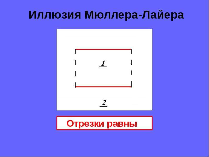 Всегда ли можно верить своим глазам или что такое иллюзия презентация