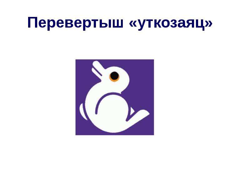 Всегда ли можно верить своим глазам или что такое иллюзия проект по физике 9 класс