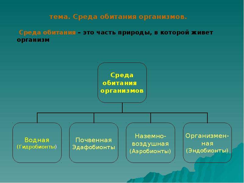 Схема экологические факторы 6 класс