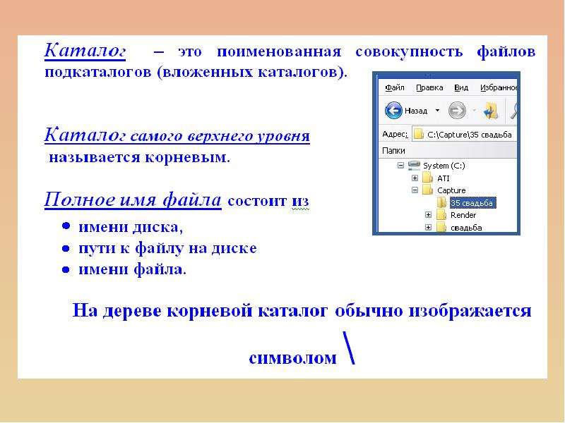 Поименованная совокупность файлов и каталогов это. Поименованное множество файлов и подкаталогов. Поименованная совокупность файлов и вложенных папок. Файлы и каталоги.